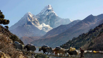 Everest View Luxury Trek