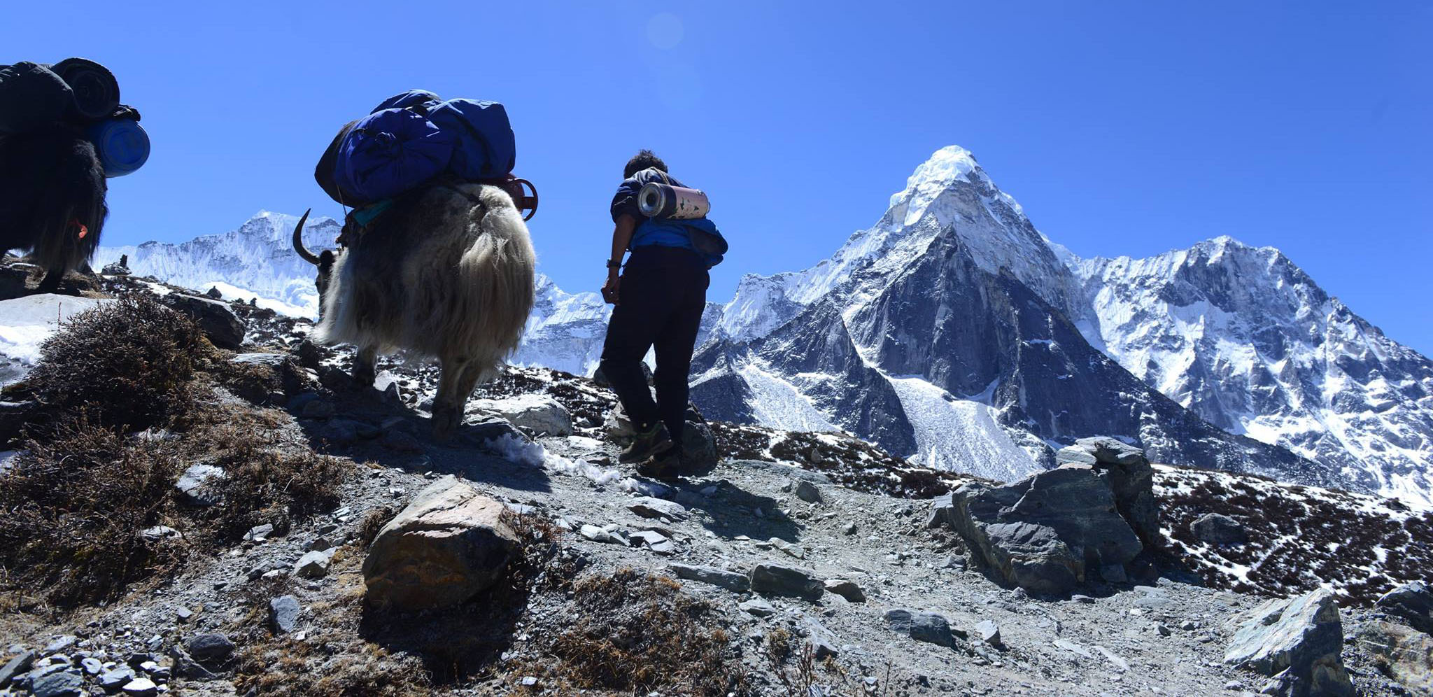 Everest three Passes Trek