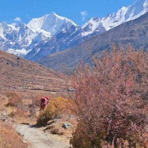 Family-Friendly Trekking with Himalayan Sanctuary