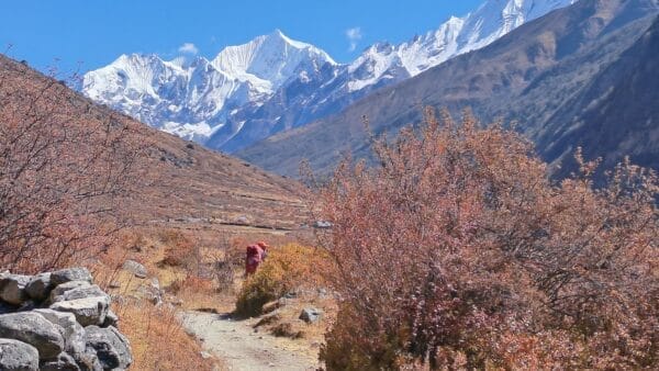 langtang Trek