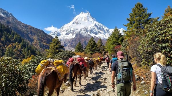 Why choose Manaslu circuit Trek 5 mount Manaslu
