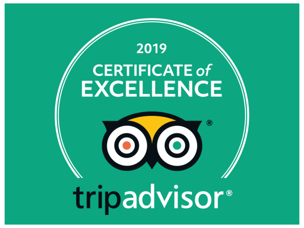 Excellent Certificate-2019