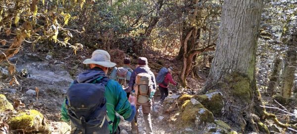 20 fact you should know about Manaslu Larkey Pass Trek 4 flora and funa manaslu trek