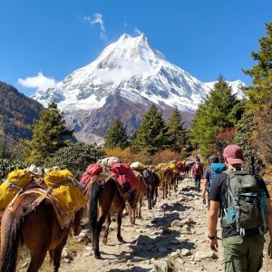Why Nepal Has Become Ultimate Destination Choice for Trekkers